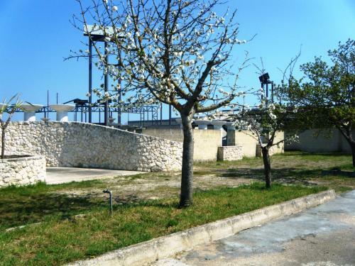 Agroturismo B&B Agrumeto