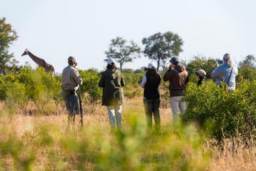 Inyati Game Lodge