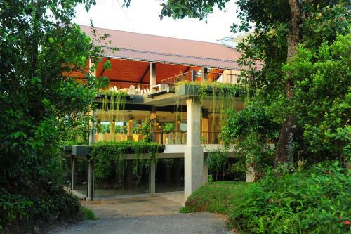 Hotel Kithul Kanda The Mountain Resort
