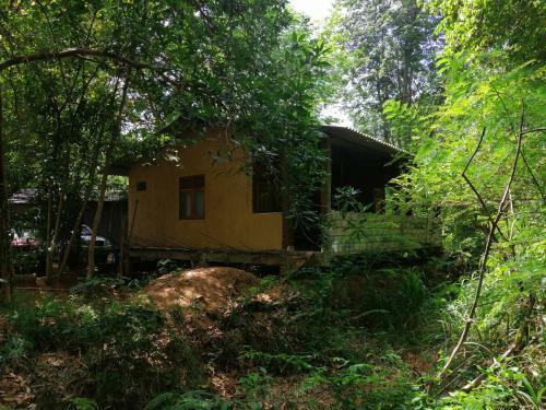 Silent Bungalow