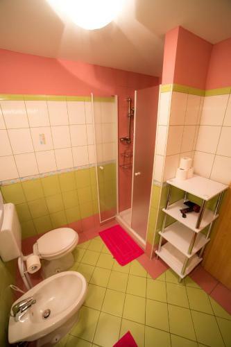 Apartment Andolsek