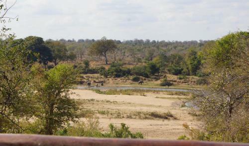 Kruger River Self-catering