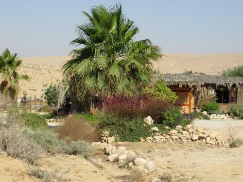 Albergue Succah In The Desert