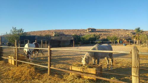 Albergue Succah In The Desert