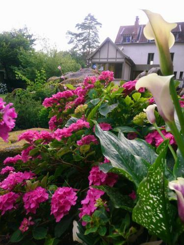 Bed & Breakfast La Bastide De Barbizon