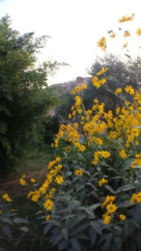 Bed & Breakfast Olivella