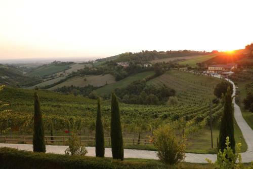 Hostal Agriturismo Acetaia Sereni