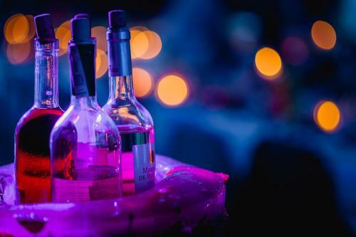 Hotel Ameli�wka