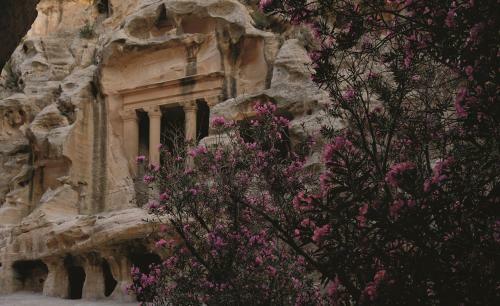 Hotel Movenpick Resort Petra