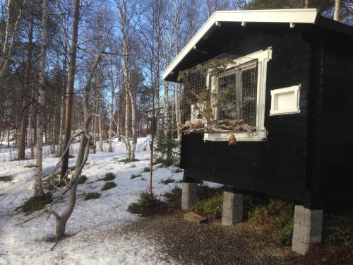 Birk Husky B&B