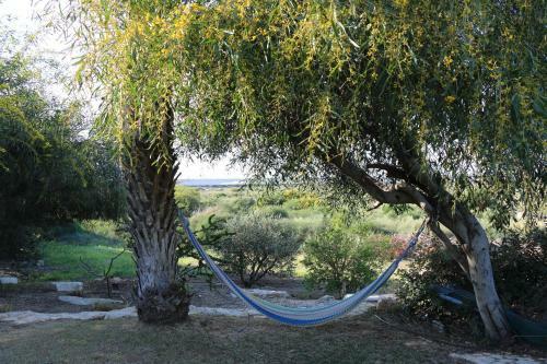 Apartamento Beach Front House