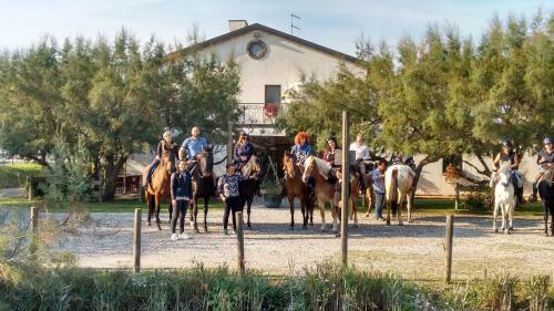 Hostal Agriturismo La Barena