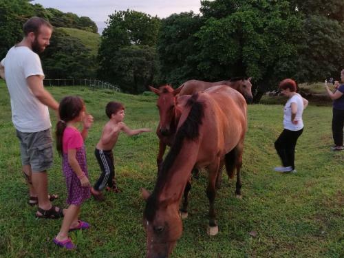 Posada Rancho Juancho