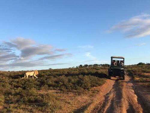 Pumba Private Game Reserve
