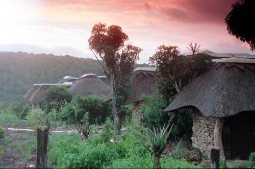 Pumba Private Game Reserve