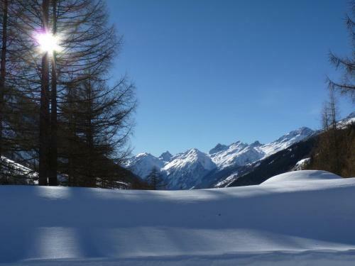 Bed & Breakfast Chalet Des Alpes