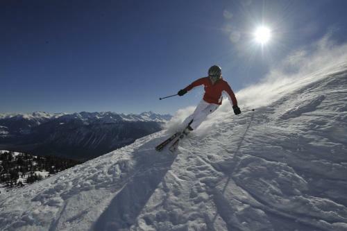 Bed & Breakfast Chalet Des Alpes