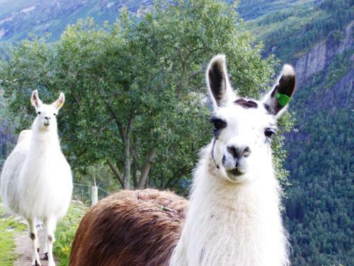 Agroturismo Wester�s Gard