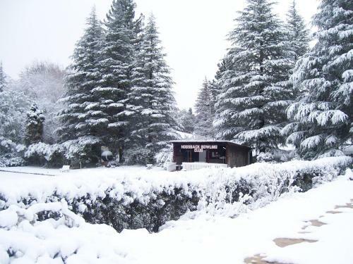 Kings Lodge Hotel