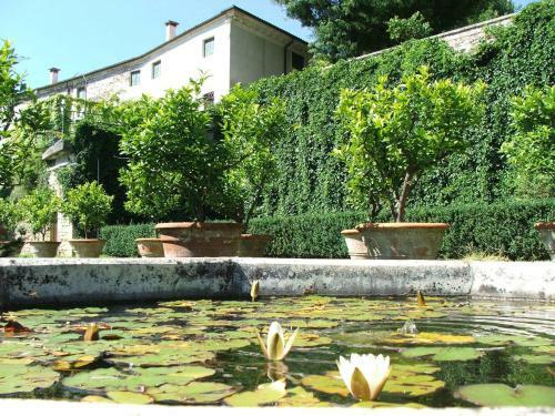 Agroturismo Il Castello
