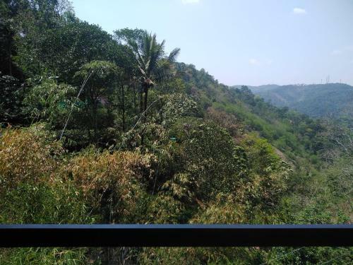 Spring And Valley View