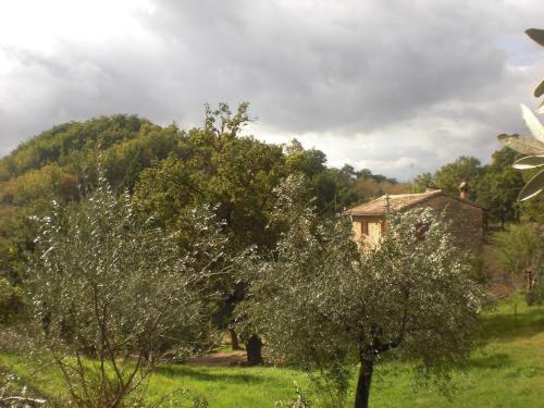 Apartamento B&B Il Sentiero Nel Bosco