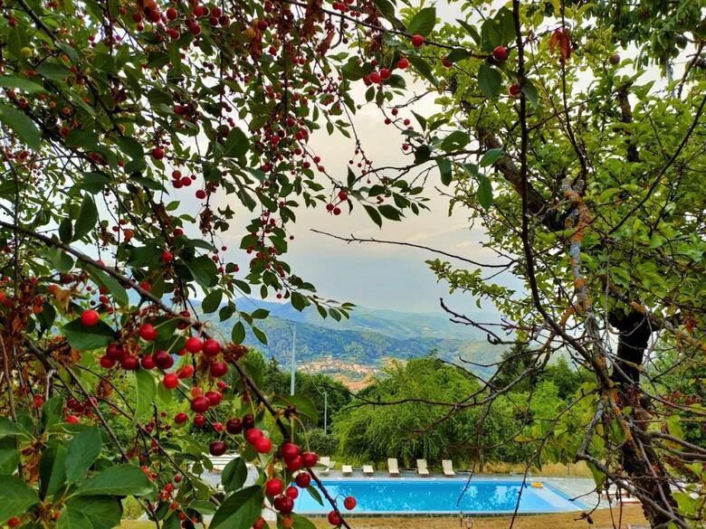 Hostal Agriturismo Borgo Biaia