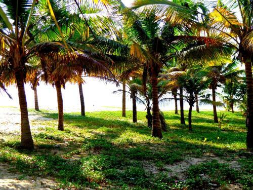 Bed & Breakfast Achayans Homestay Mararikulam