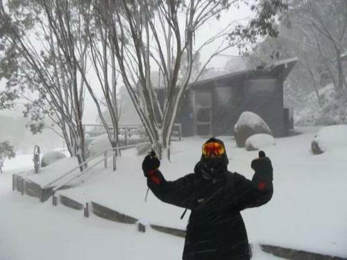 Hostal Pear Tree Cottage Bed And Breakfast