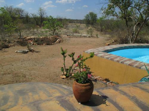 Lodge Silonque Bush Estate