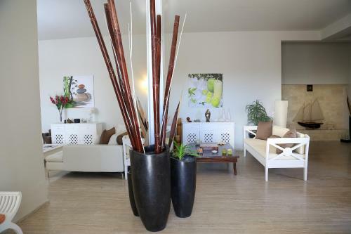 B&B La Vigna