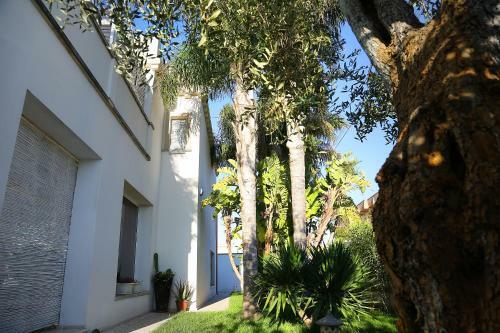 B&B La Vigna