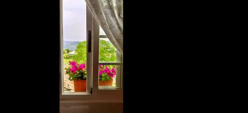 Agroturismo Casa O Torgal