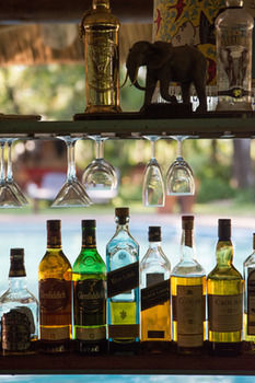 Sefapane Lodge And Safaris