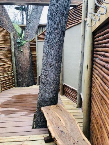 Bundox Safari Lodge