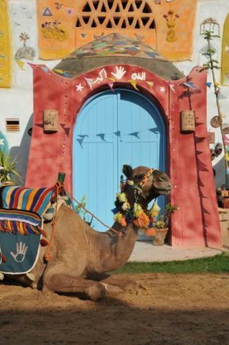 Hotel Anakato Nubian Experience