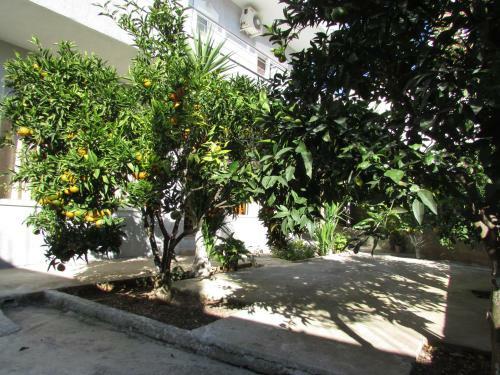 Bed & Breakfast Ahmeti