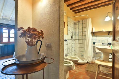 Agroturismo Il Vichiaccio
