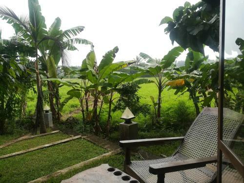 Lodge Rice Villa