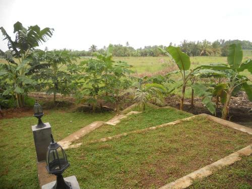 Lodge Rice Villa