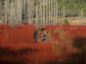 Agroturismo El Llano De Los Conejos