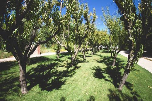 Hostal African Vineyard Guesthouse