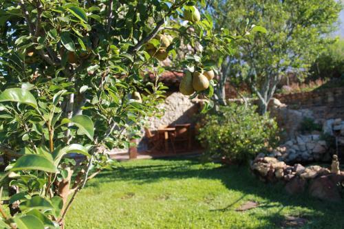 Casas Do Favacal