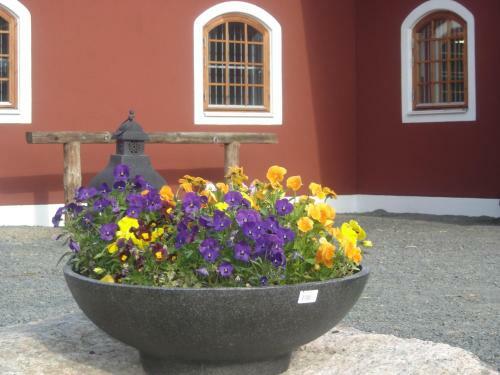 Hostal Bashults G�rd