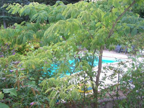Apartamento Le C�venn'hols