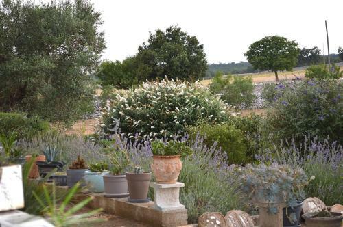 Bed & Breakfast Villa Lavanda