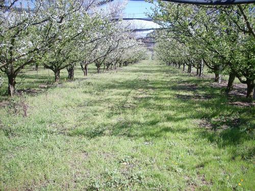 Hostal Agriturismoteo