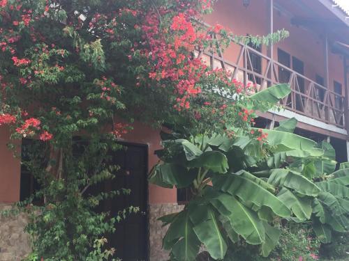 Bed & Breakfast Hostal Elia Victoria