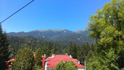 Villa Bambi