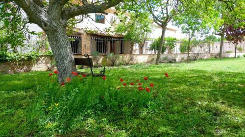 Agroturismo Casa Del Rio